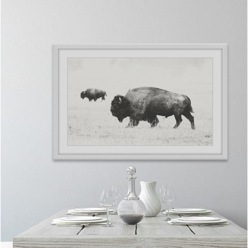 Buffalo Pair - Single Picture Frame Print, 41cm H x 61cm W