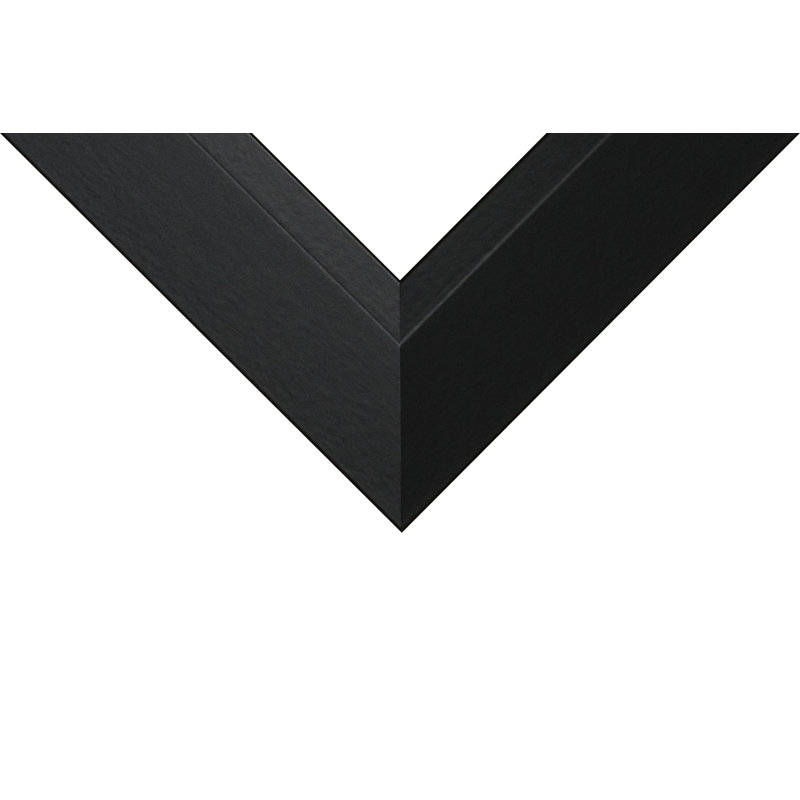 Black Series - Grand cadre photo simple, Acrylique, L 27 po x H 41 po, Rectangulaire