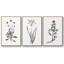 Inky Botanical I, ensemble de 3 toiles encadrées sur toile-97792631-97792635