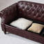 Canapé Chesterfield-1126978644