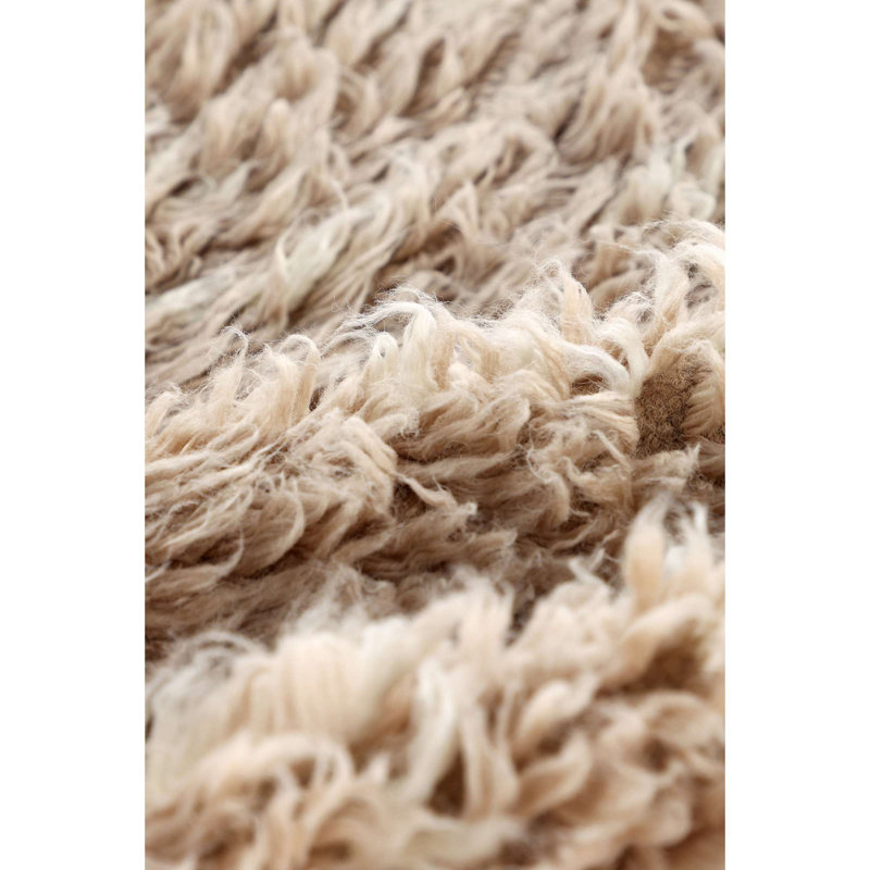 Alyvia Hand Woven Area Rug, Rectangle 200 x 300cm