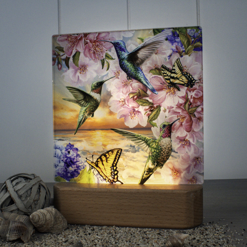 Veilleuse colibri au coucher du soleil