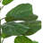 Artificial Fiddle Leaf Fig Plant in Planter-323881566