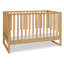 Hunter 3 in 1 Convertible Crib-89018595