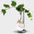 Transparent est en rupture de stock