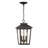 Irvington Manor - 3 Light Chain Hung Lantern-1097399256