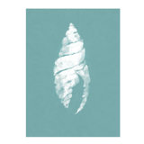 Pearl Shell I Print by Fern Cassidy