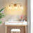 Lupe 3-Light Bathroom Dimmable Vanity Light-1003493529