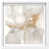 White Frame