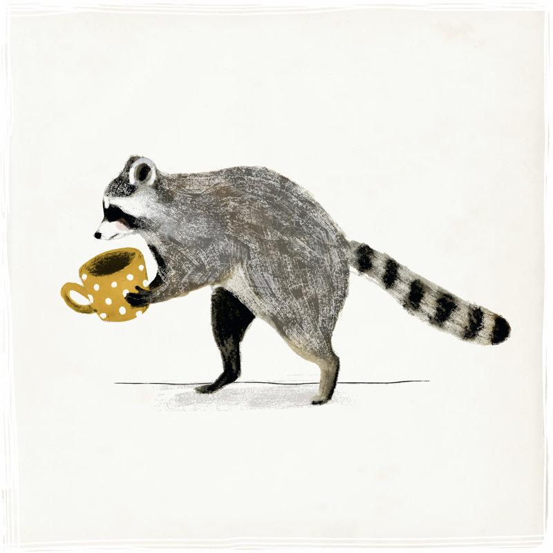Rascally Raccoon III, H 20 po x l 20 po