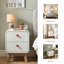 Aries 2 Drawer Wood Nightstand, Bedside Table with Storage Drawers, Night Stand for Bedroom, End Table or Side Table for Living Room, 39.3 cm D x 39.5 cm W x 55 cm H-133100745