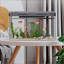 Ensemble de démarrage d'aquarium avec éclairage à DEL, pompe à eau, décoration de plantes aquatiques, mini aquarium rectangulaire de bureau, décoration de table pour le bureau-139845129