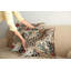 Ensemble de 2 housses de coussin Ambesonne-99020885-99020886