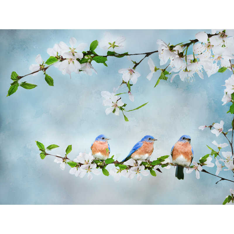 Blue Birds In Cherry Blossoms 1 par Beth Sheridan, H 24 po x l 32 po, Toile tendue