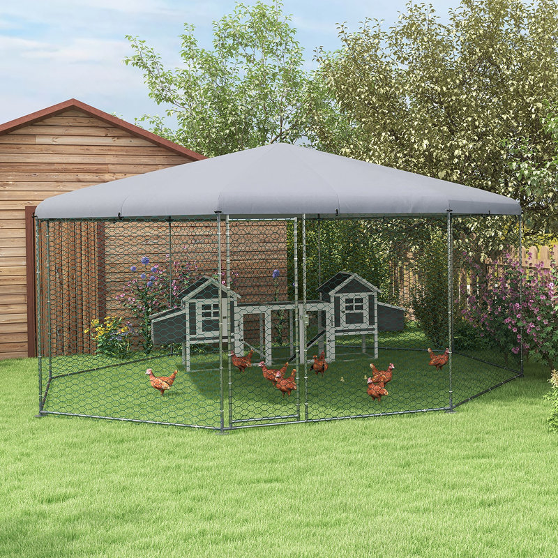 Versatile Metal Chicken Coop For Various Pets With Advanced Features