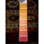 Striped Area Rug in Multicolor