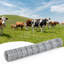 5 pi x 328 pi Clôture à bestiaux galvanisée robuste pour animaux de ferme résistante à la corrosion-125913220