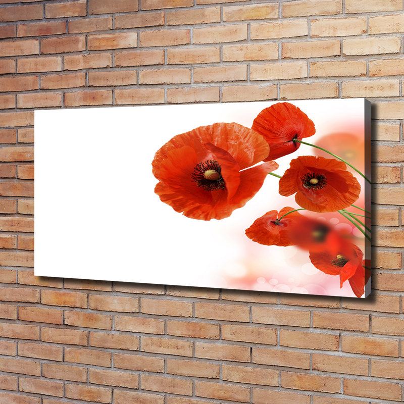 Maki - Wrapped Canvas Print