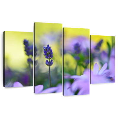 Harnek Lavender In The Flower Field