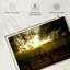 Alvord Oakville Vineyard-107685206