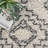 Spurling Moroccan Shag Power Loom Performance Cream/Charcoal Gray Rug-1212302411