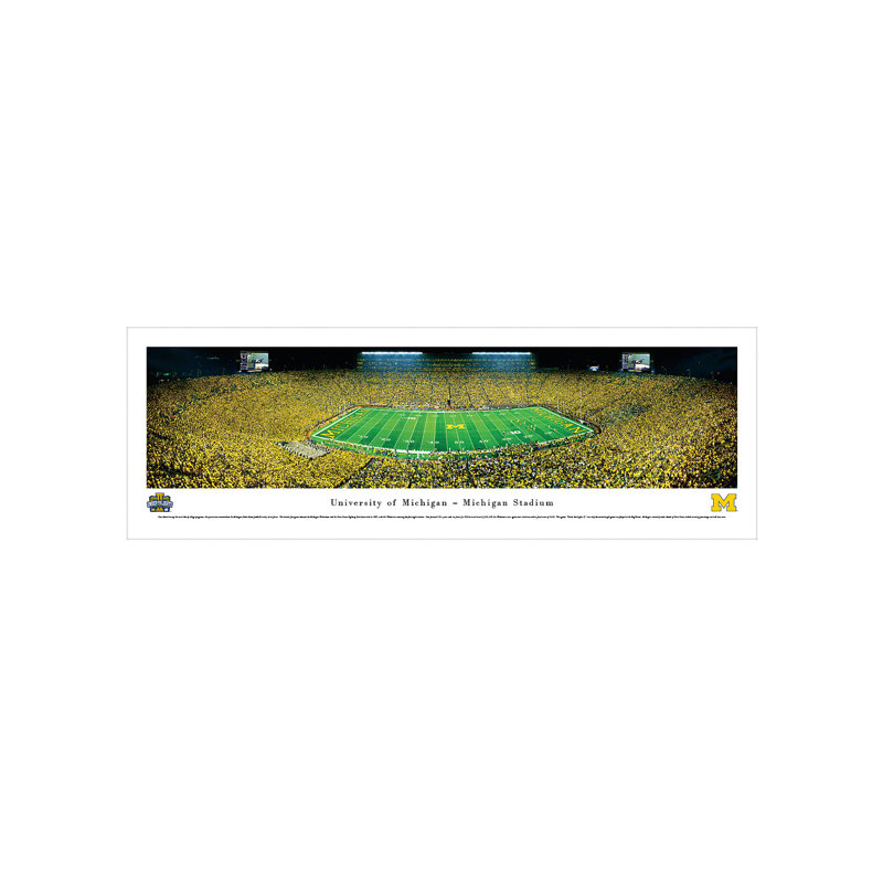 NCAA Mizzou Football Panoramic Print, Unframed, 13.5" H x 40" W x 0.1" D