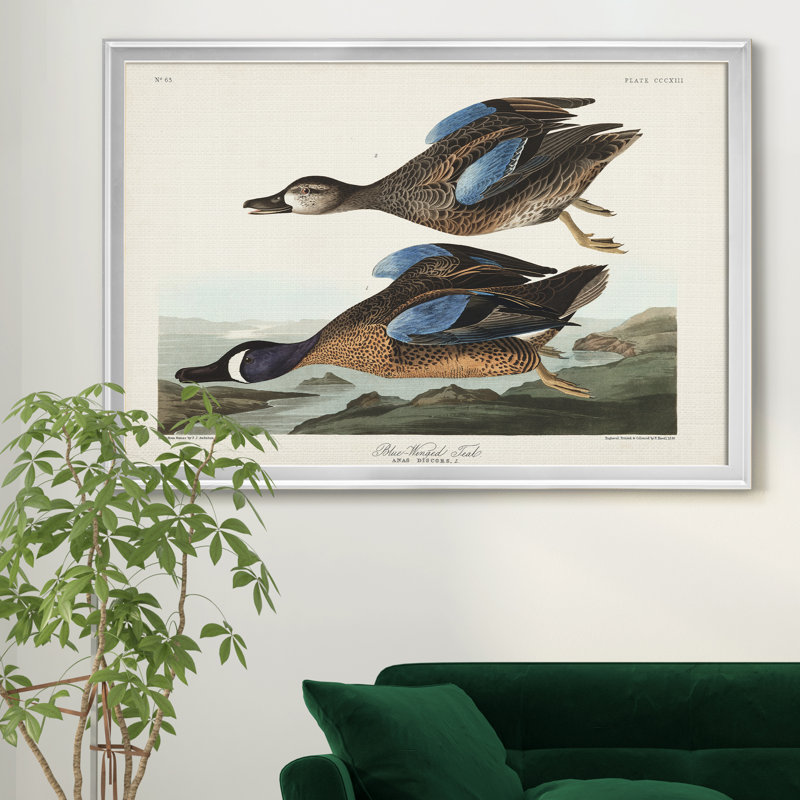 Bleu sarcelle à oreilles bleues - reproduction d'art sur toile, Argent, H 26,5 po x l 36,5 po x P 1,5 po