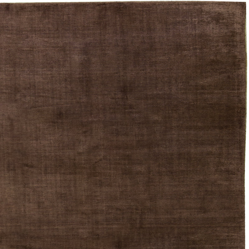 Area Rug in Brown