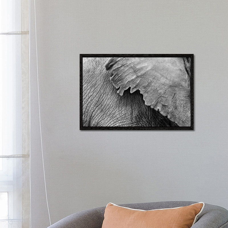 Elephant Ear And Texture - Black And White by Susan Richey - Gallery-Wrapped Canvas Giclée on Canvas, 66.04 cm H x 45.72 cm W