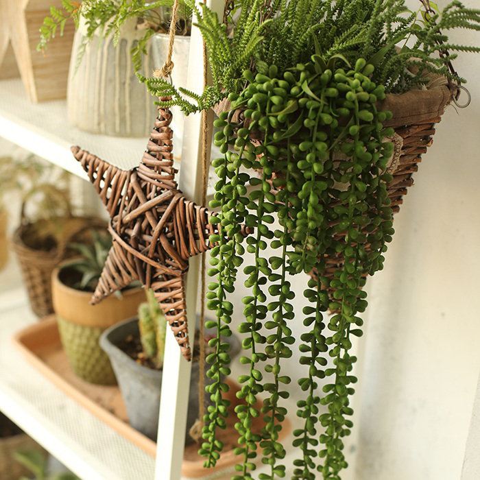 Plante succulent suspendue à chute artificielle rustique, 3 tiges