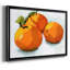 Mathewson Citrus Grouping I-1884187477-1884187476
