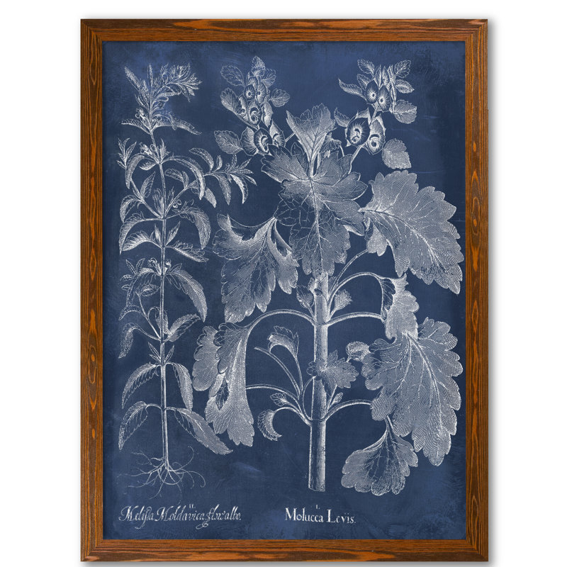 «Besler Leaves in Indigo I» par Paul Cezanne - reproduction d'art encadrée, H 30 po x l 22 po x P 1 po