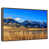 Floating Frame Walnut