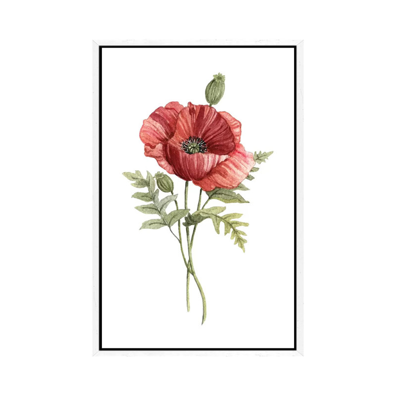Scarlet Poppy by Carol Robinson - Painting on Canvas, White Framed, 66.04 cm H x 45.72 cm W