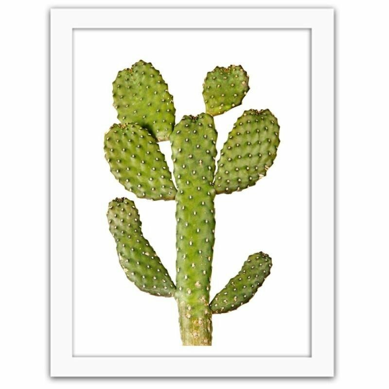 Gerahmter Fotodruck Green Cactus