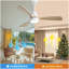 Ventilateur de plafond moderne 48 pouces avec 3 lumières