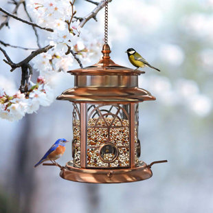 Large Rustic Wood Platform Bird Feeder Has 2 Levels Use as a Hanging Bird  Feeder or Get Optional Pole and Kit for Pole Mounting 
