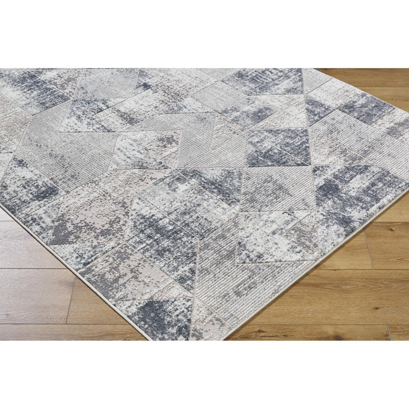 Dierks Modern Machine Woven Area Rug NST2301, Rectangle 5'3" x 7'