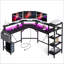 L-Shaped Metal Base Computer Desk