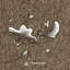 Tapis Covety-53219866
