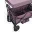 Wagon Stroller for 2 Kids, Push Pull Quad Collapsible Stroller with Adjustable Handle-107702527