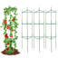 Plant Support