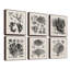 « corail spécimen ii hexaptych »-6 pièces, impression sur toile-29544542