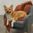 Your Lifestyle by Donna Sharp Rust Plush Knit Throw-271529977