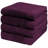 Kendra 100% Cotton Hand Towel Set-652887255-575100086