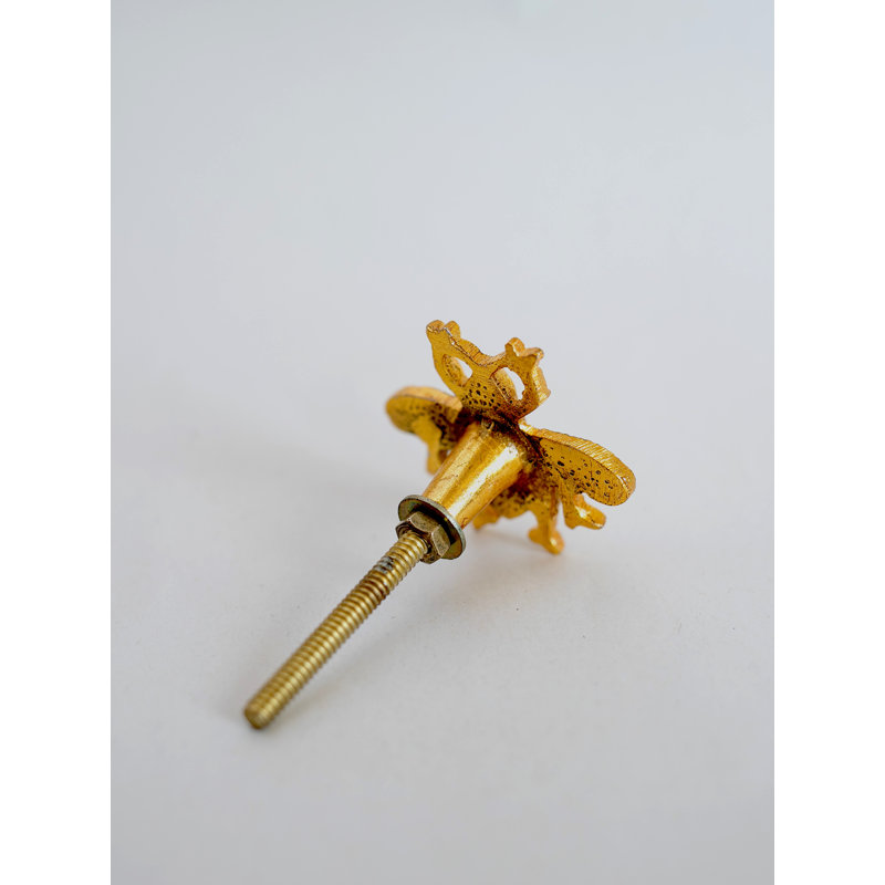 Ovalle 4mm Length Novelty Knob, Gold