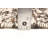 Sienna  Brown Rug 5'1" x 7'4"