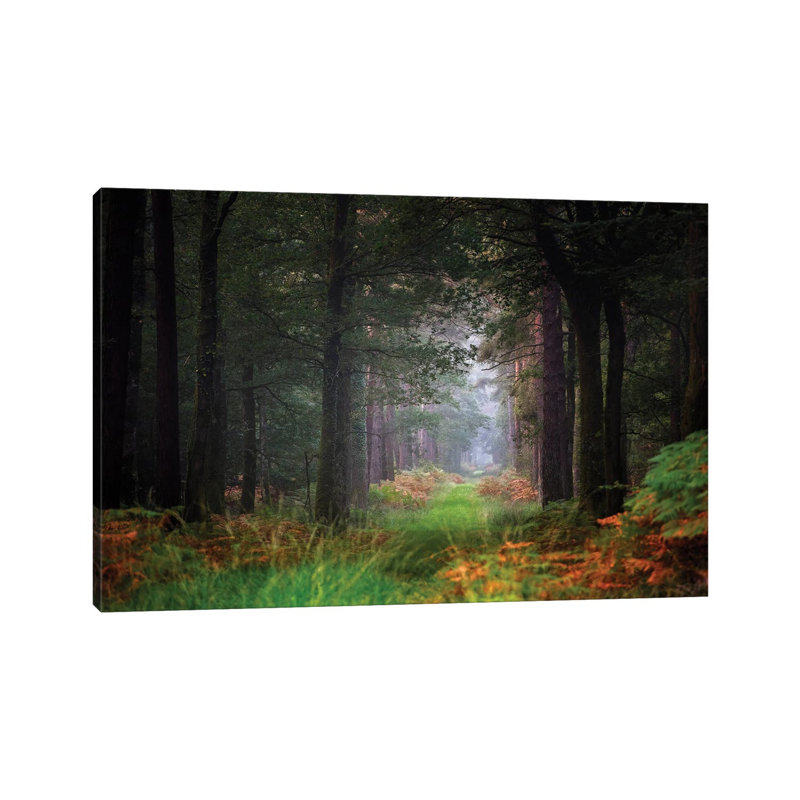 Entering The Forest by Philippe Manguin - Wrapped Canvas Print, 30.48cm H x 45.72cm W x 1.905cm D