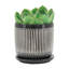 Ensemble de 2 pots Saucer