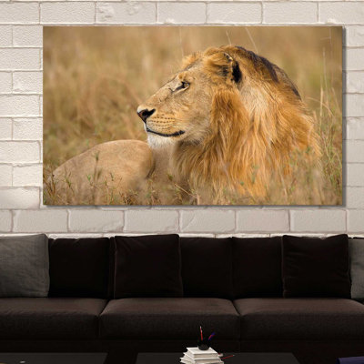 «King of The Wild I», reproduction de photo
